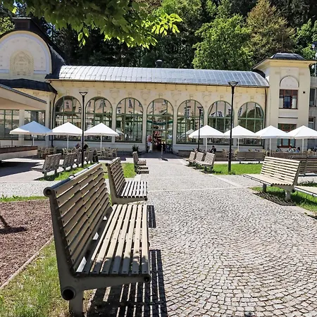 Appartement U Svycarskeho Dvora Iv By Interhome Janské Lázně