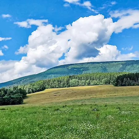 U Svycarskeho Dvora Iv By Interhome * Janské Lázně