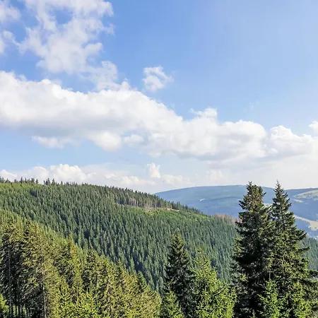 U Svycarskeho Dvora Iv By Interhome Appartement Janské Lázně